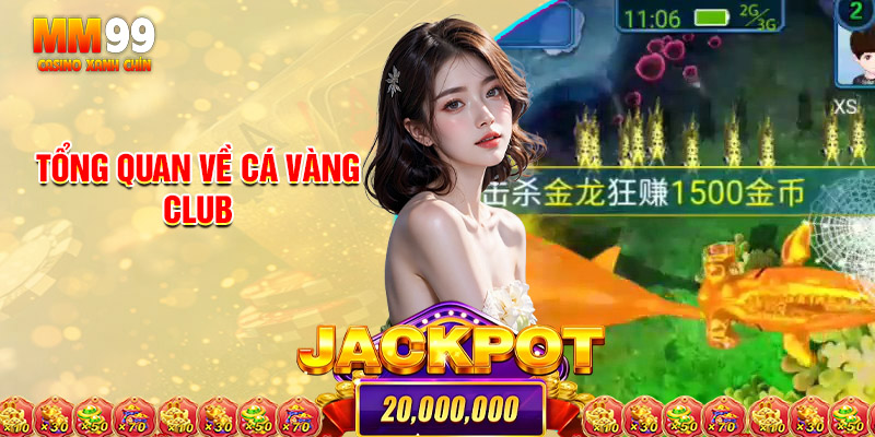 Tổng Quan Về Cá Vàng Club