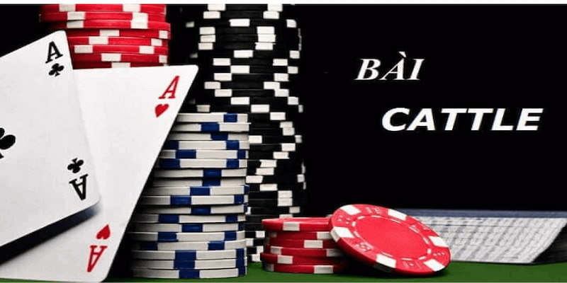 Tổng quan về bài cát tê