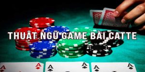 Thuật ngữ cơ bản cần nắm