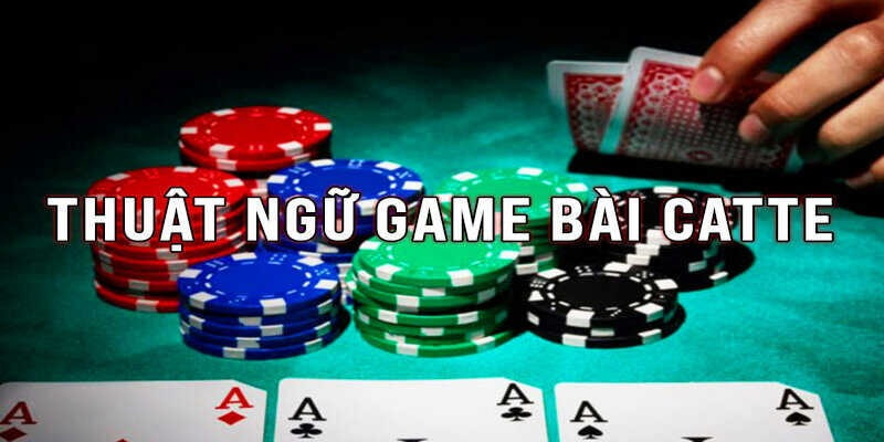 Thuật ngữ cơ bản cần nắm
